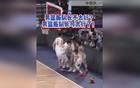 趙睿硬核表現(xiàn)！中國男籃勝日本！