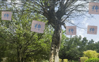 申花俄帥指揮神，換五人皆進(jìn)球。