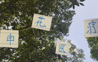 申花醫(yī)療投資見效，除阿馬杜外，隊員快速恢復。