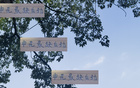申花后勁不足，去年已現(xiàn)。海港、國安仍有翻盤機(jī)會。