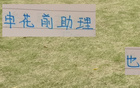 斯盧茨基愛(ài)徒獨(dú)領(lǐng)風(fēng)騷，歐洲奪冠！