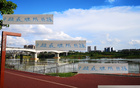 中超頭號(hào)難防前鋒，青島外援勝出，非海港萊納多，乃申花米內(nèi)羅。