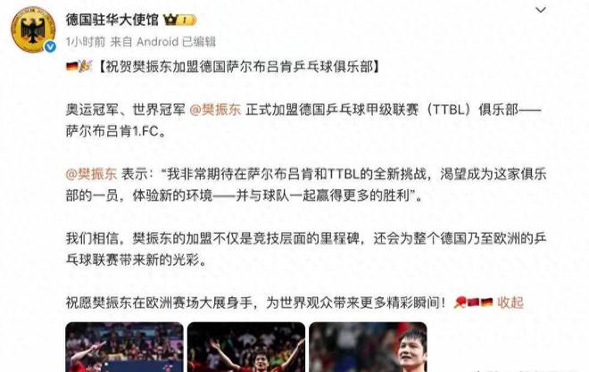 樊振東德甲6天，三大益處顯，俱樂部贊其瘋狂。