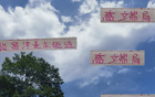 張玉寧高天意，國安申花精英；留洋進國家隊，實力非凡。