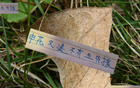 申花帥哥特謝拉、蔣圣龍未隨隊(duì)赴深圳。
