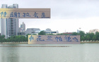 深圳戰(zhàn)敗，賠兵折將，申花蘭帕德、特謝拉顯神勇。