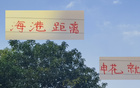 海港申花差4分，下半年有反超機(jī)會，期待！