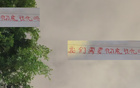 萊納多進(jìn)50球，歸化刻不容緩，否則恐?jǐn)∮隈R國(guó)。