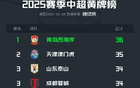 中超半程黃牌榜：西海岸領(lǐng)跑，津門虎次之，魯蓉成第三。