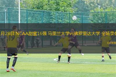 3月28日 NCAA甜蜜16強(qiáng) 馬里蘭大學(xué)vs佛羅里達(dá)大學(xué) 全場(chǎng)錄像