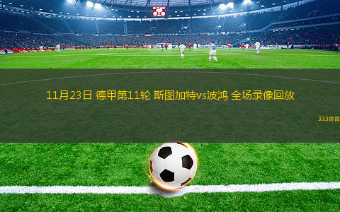 11月23日 德甲第11輪 斯圖加特vs波鴻 全場錄像回放