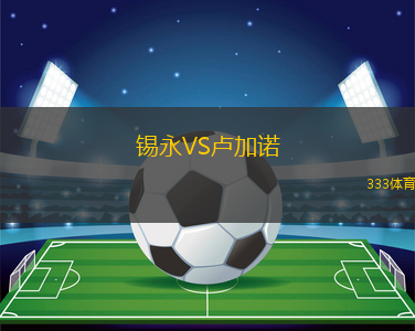 錫永VS盧加諾