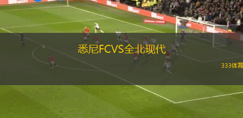 悉尼FCVS全北現(xiàn)代