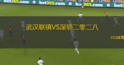 武漢聯(lián)鎮(zhèn)VS深圳二零二八
