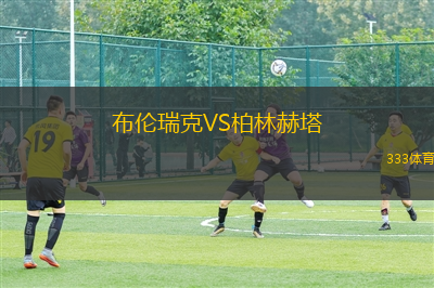 布倫瑞克VS柏林赫塔