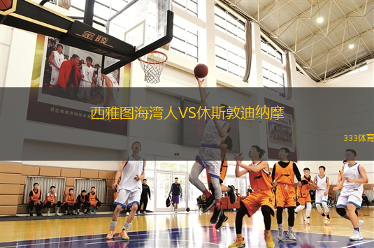 西雅圖海灣人VS休斯敦迪納摩