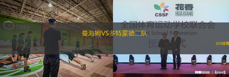 曼海姆VS多特蒙德二隊