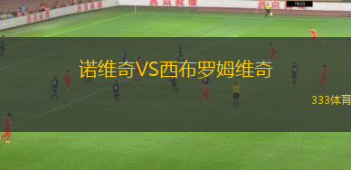 諾維奇VS西布羅姆維奇