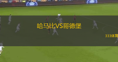 哈馬比VS哥德堡