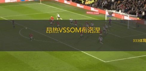 昂熱VSSOM布洛涅