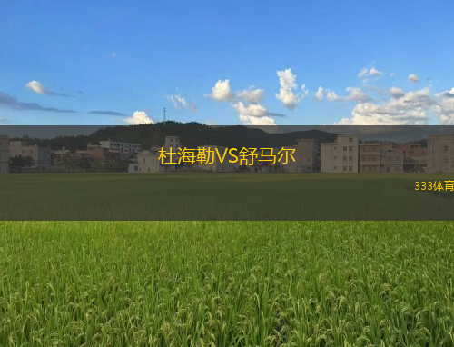杜海勒VS舒馬爾
