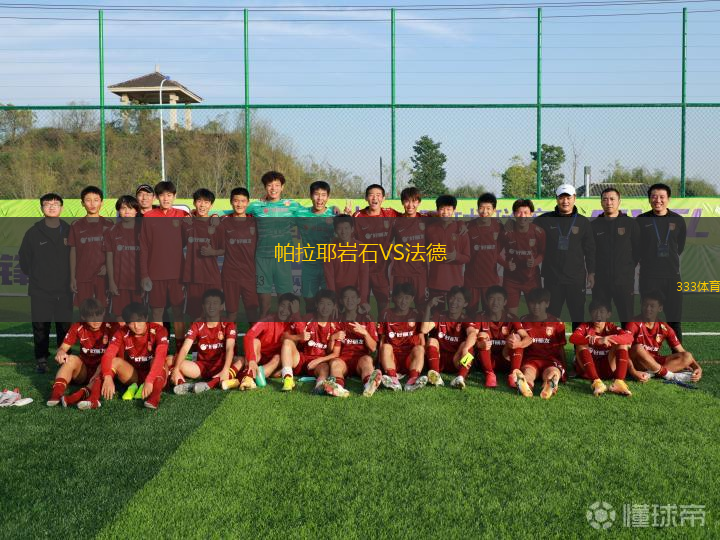 帕拉耶巖石VS法德