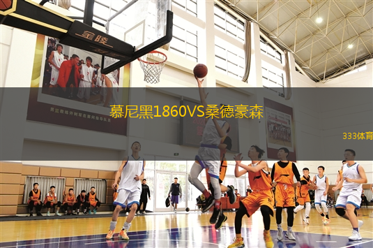 慕尼黑1860VS桑德豪森