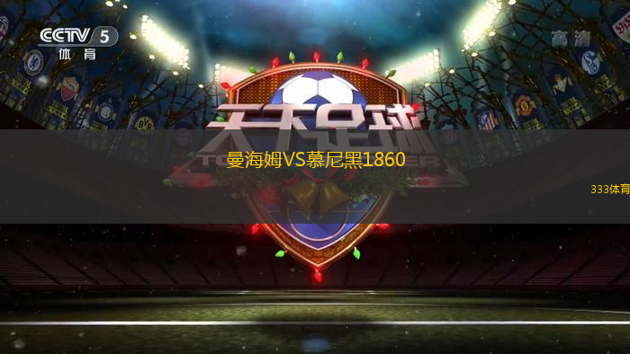 曼海姆VS慕尼黑1860