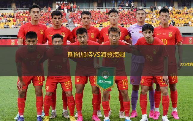 斯圖加特VS海登海姆