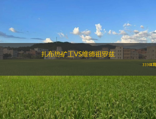 扎布熱礦工VS維德祖羅茲