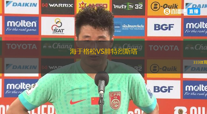 海于格松VS腓特烈斯塔