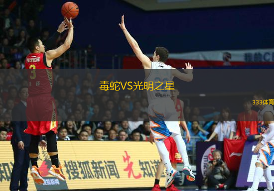 毒蛇VS光明之星