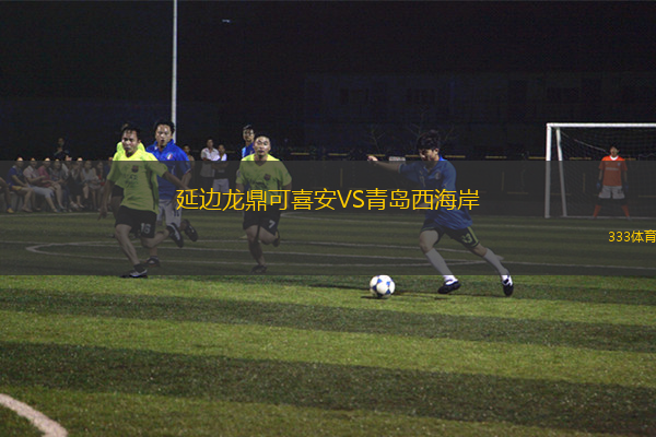 延邊龍鼎可喜安VS青島西海岸