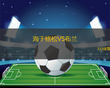 海于格松VS布蘭
