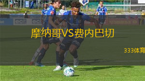 摩納哥VS費(fèi)內(nèi)巴切