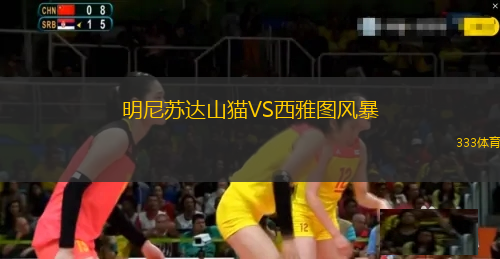 明尼蘇達(dá)山貓VS西雅圖風(fēng)暴