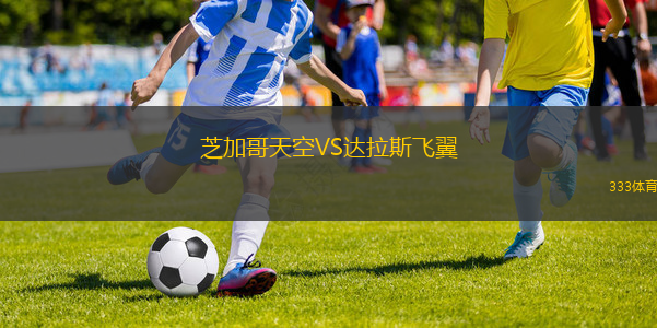 芝加哥天空VS達(dá)拉斯飛翼
