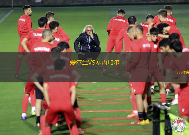 愛(ài)爾蘭VS塞內(nèi)加爾