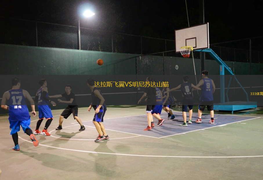 達(dá)拉斯飛翼VS明尼蘇達(dá)山貓