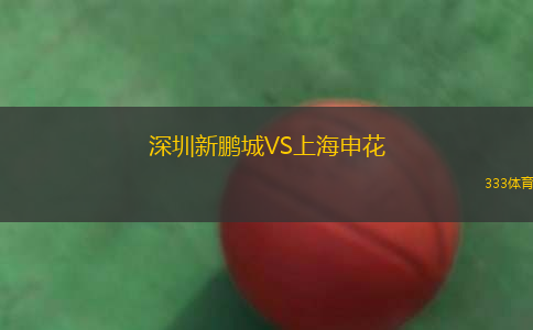 深圳新鵬城VS上海申花
