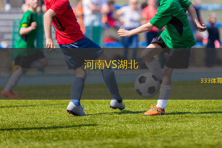 河南VS湖北