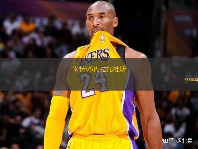 米特VS內(nèi)拉托維斯