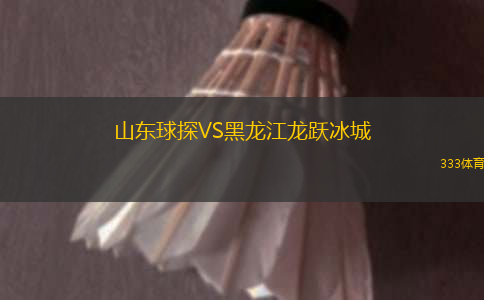 山東球探VS黑龍江龍躍冰城