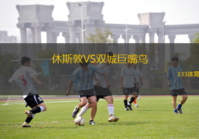 休斯敦VS雙城巨嘴鳥