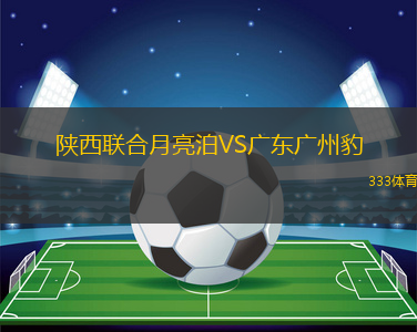 陜西聯(lián)合月亮泊VS廣東廣州豹