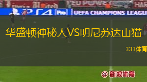 華盛頓神秘人VS明尼蘇達(dá)山貓