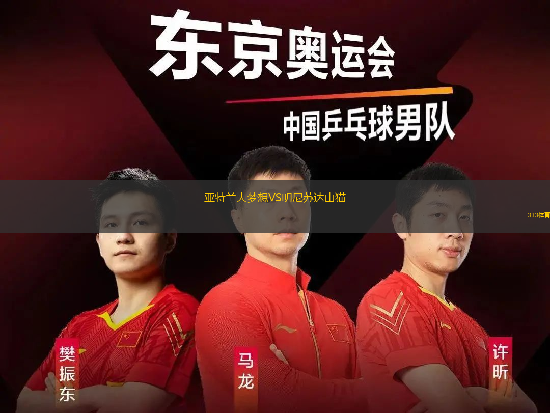 亞特蘭大夢(mèng)想VS明尼蘇達(dá)山貓