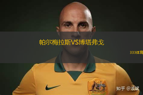 帕爾梅拉斯VS博塔弗戈