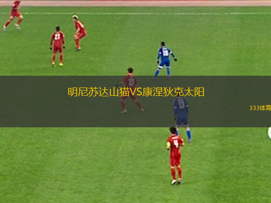 明尼蘇達(dá)山貓VS康涅狄克太陽(yáng)