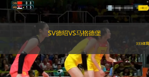 SV德紹VS馬格德堡